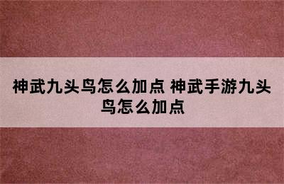 神武九头鸟怎么加点 神武手游九头鸟怎么加点